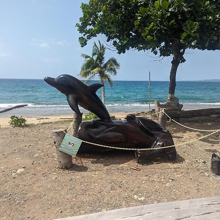 Beautiful Ocean Front Villa Aguada Bagian luar foto