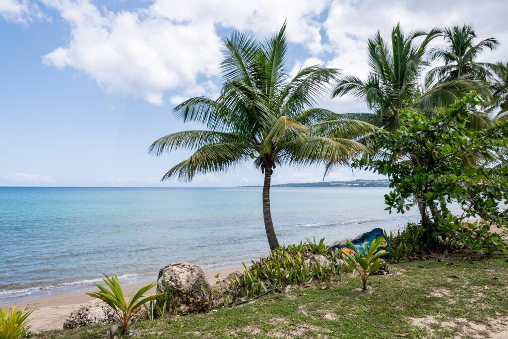 Beautiful Ocean Front Villa Aguada Bagian luar foto